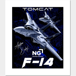 f 14 tomcat fighterjet Posters and Art